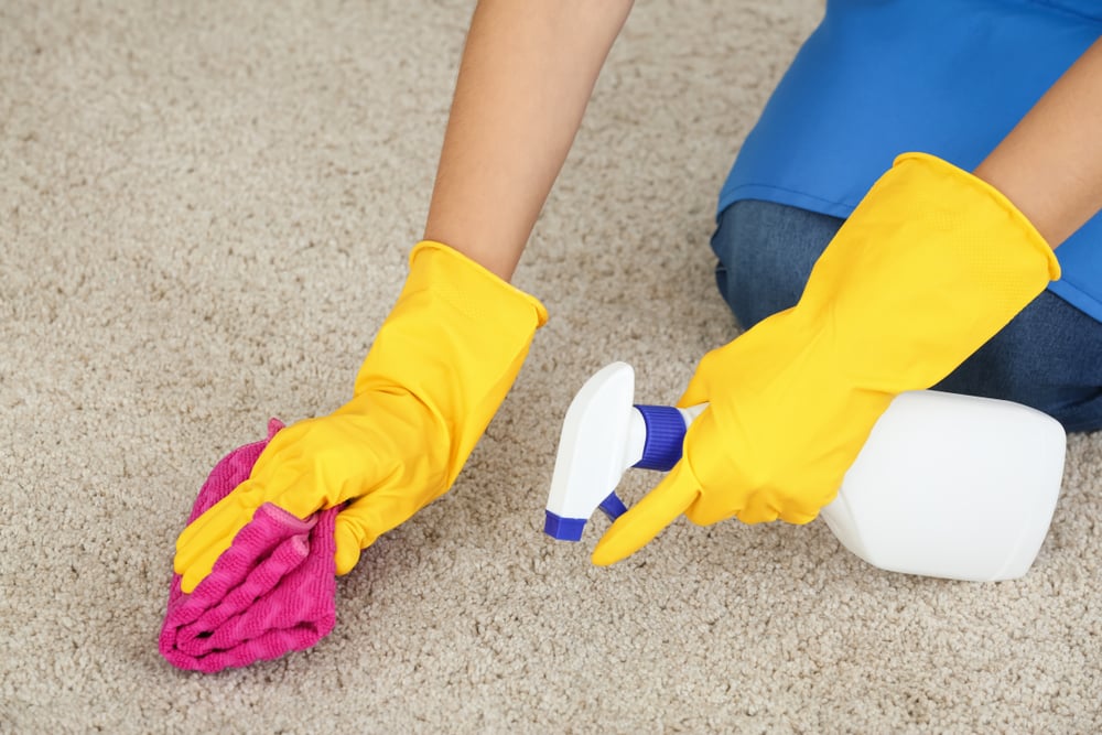 Best Carpet Cleaning Services in Dublin