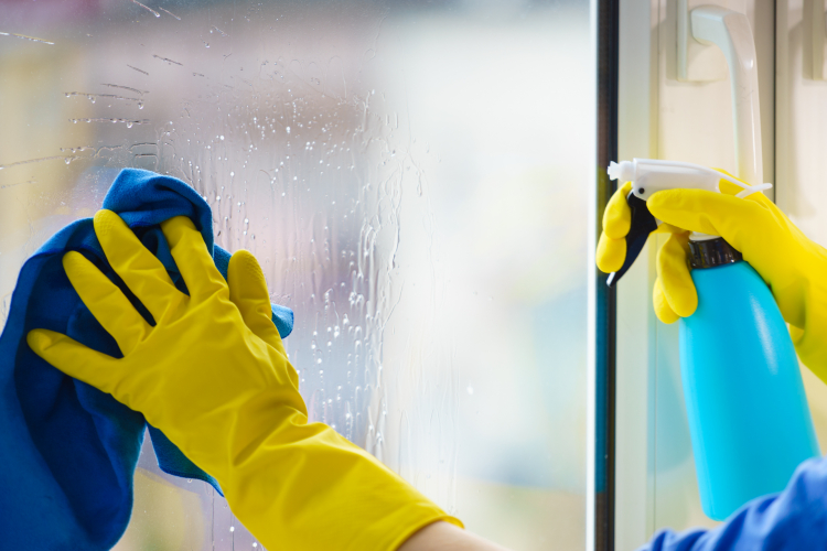 Windows Cleaning Services in Dublin